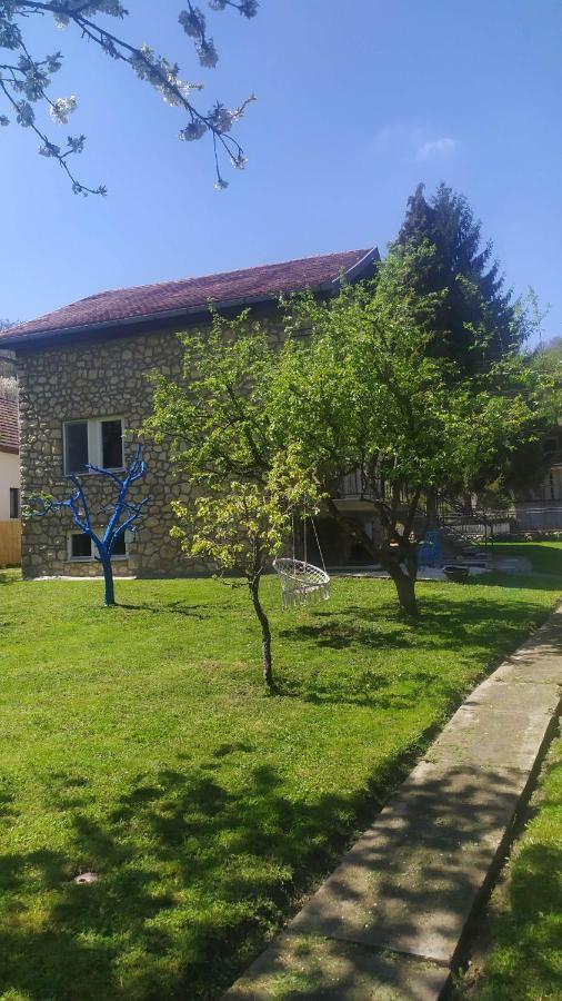 Sumski Raj- Forest Paradise Velika Remeta Exterior foto